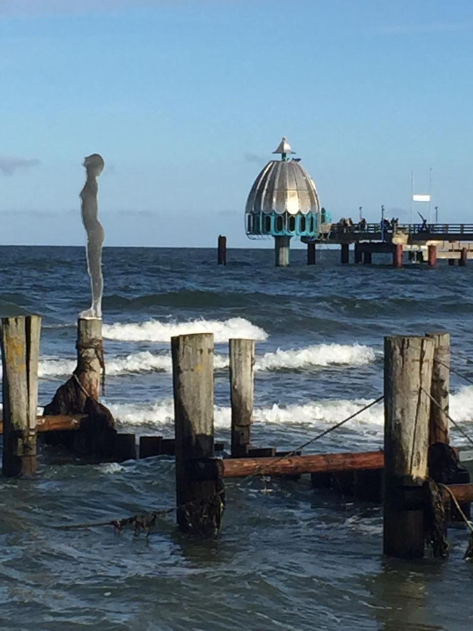 Haus Selma Lägenhet Zingst Exteriör bild